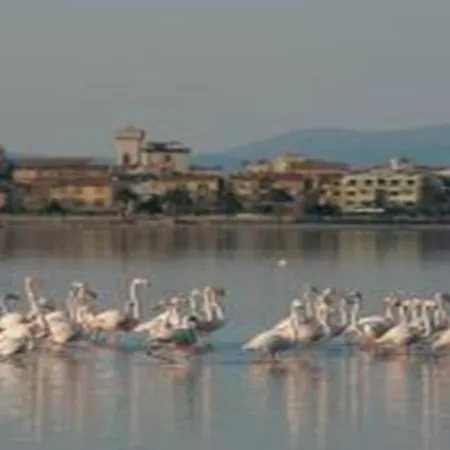 Orbetello Appartamento Accogliente Con Parcheggio Gratuito Exterior photo